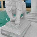 拉萨 白麻花岗岩动物异形石雕-大象