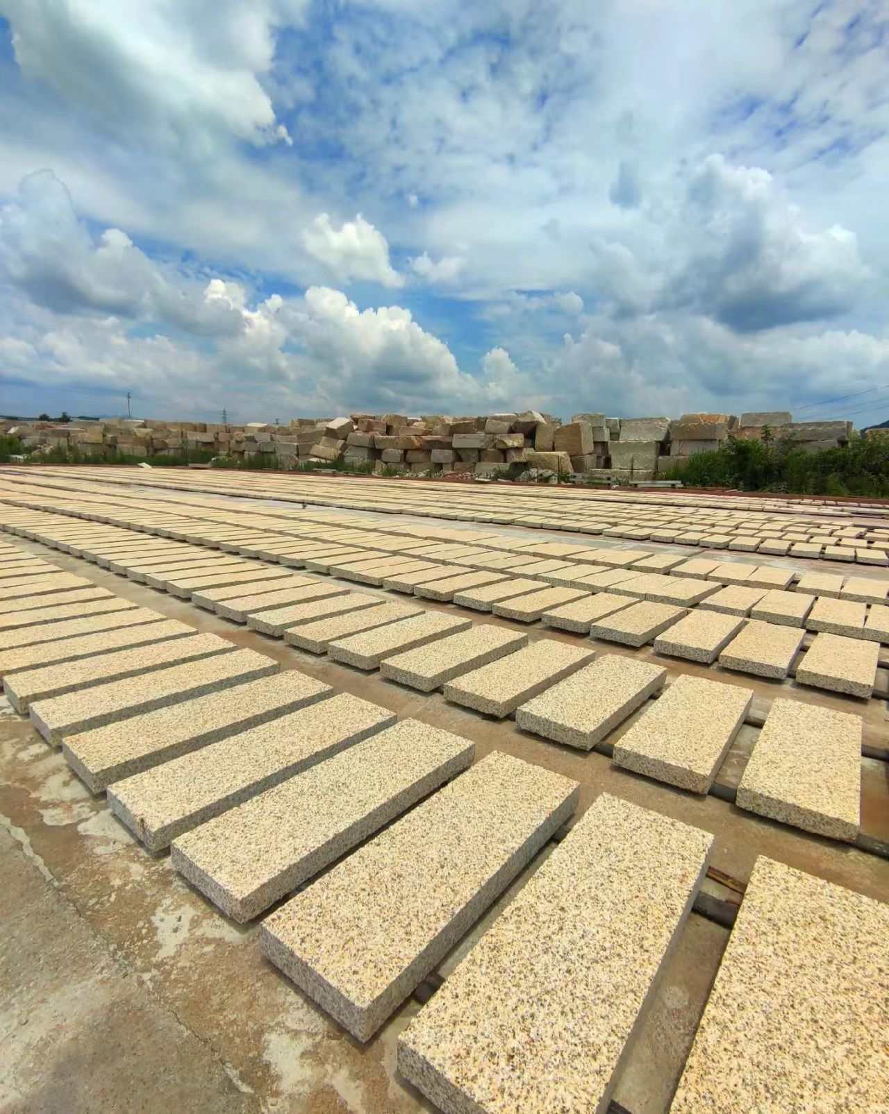 拉萨 黄金麻花岗岩荔枝面地铺石防护中