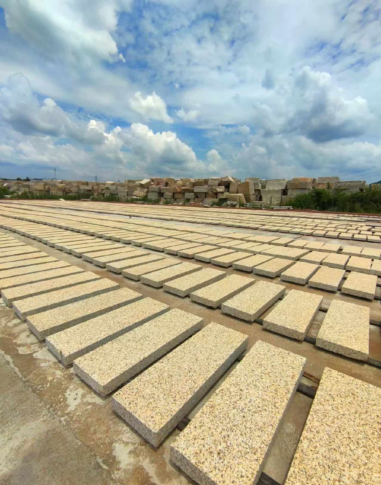 拉萨 黄金麻荔枝面花岗岩石材地铺石防护中